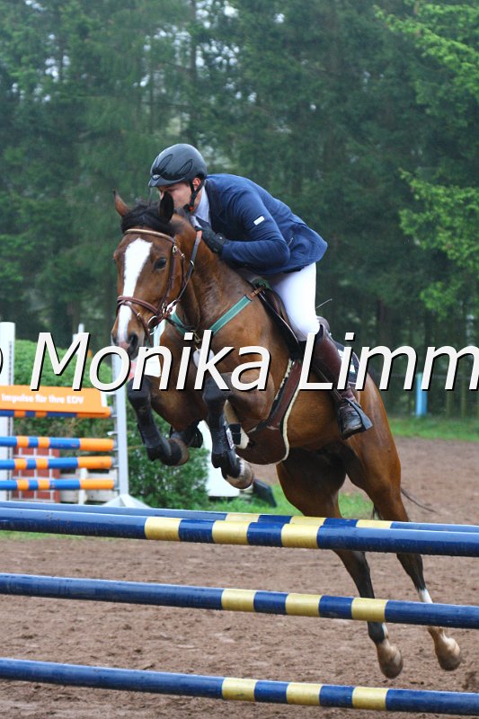 005L4646_Al Authentic Fire_Springpferde A xx.JPG